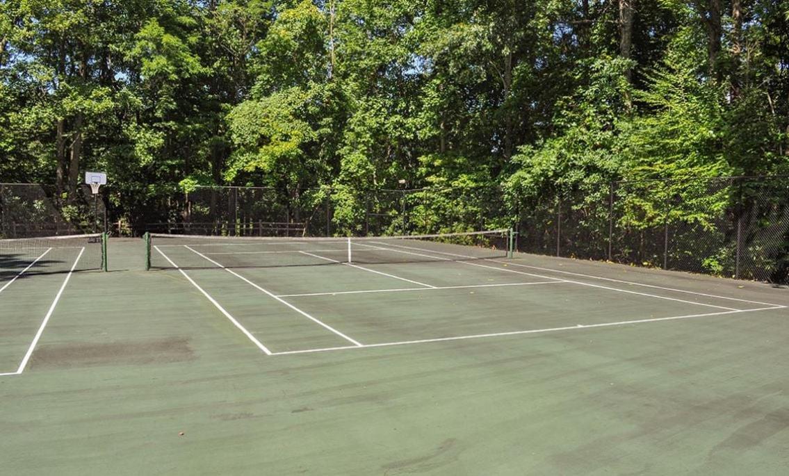 Chestnut Bearadise Villa Gatlinburg Dış mekan fotoğraf