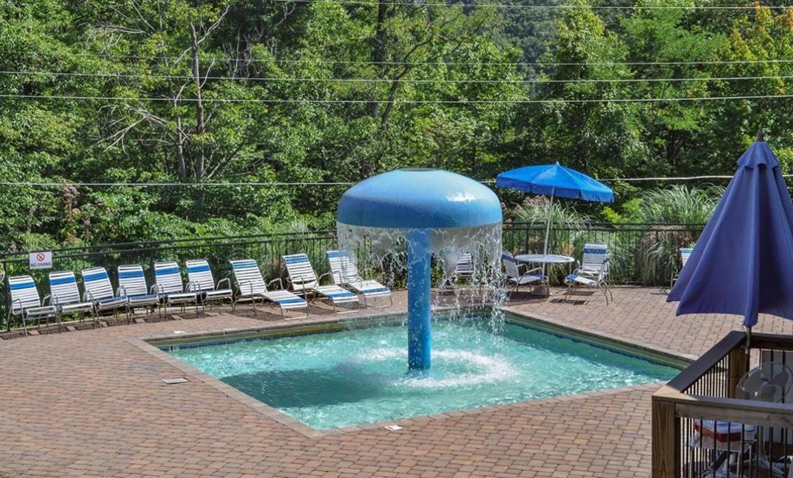 Chestnut Bearadise Villa Gatlinburg Dış mekan fotoğraf